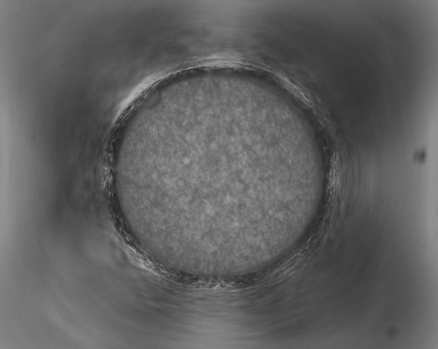 X0000116031400200912111405