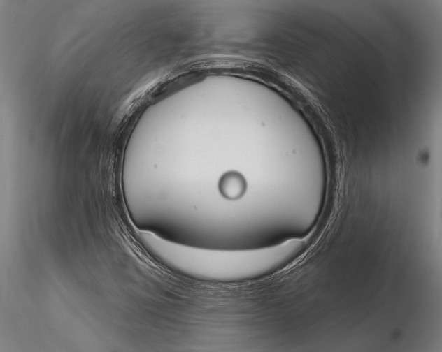 X0000116031403200912111405