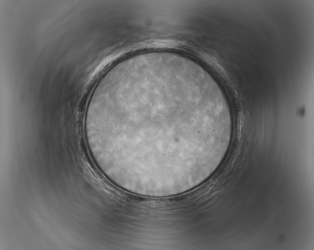 X0000116031404200912111405