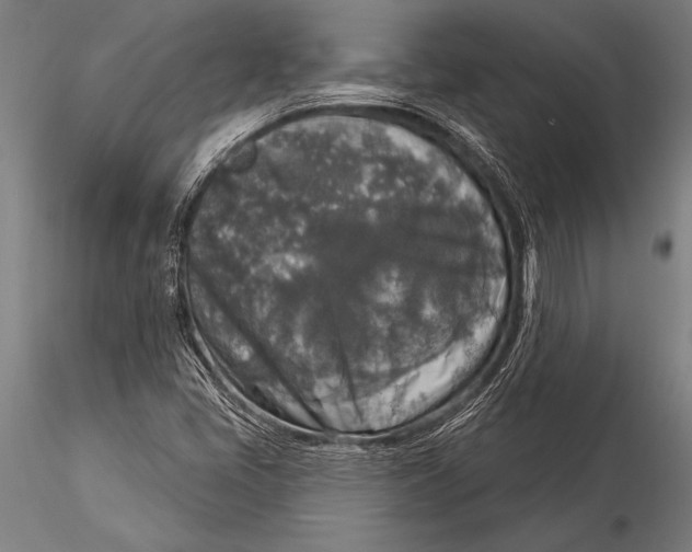 X0000116031405200912111405