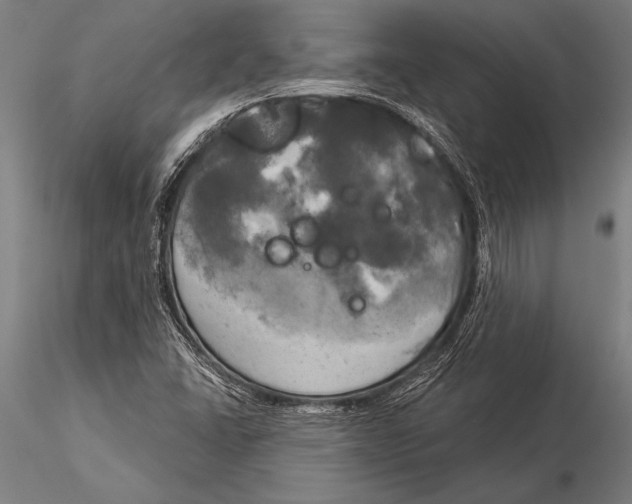 X0000116031406200912111405