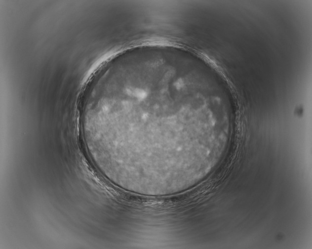 X0000116031408200912111405