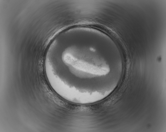 X0000116031409200912111405