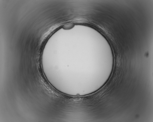 X0000116031410200912111405