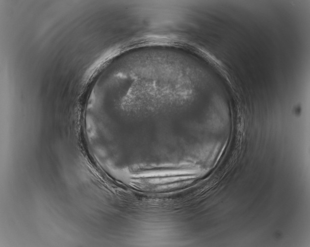 X0000116031411200912111405