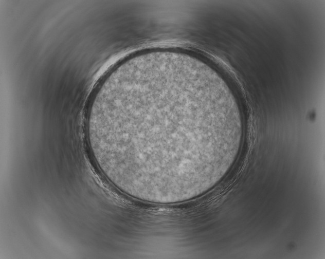 X0000116031412200912111405