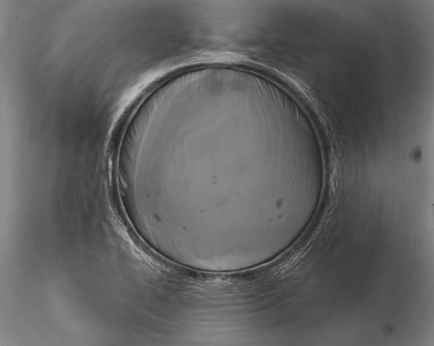 X0000116031414200912111405