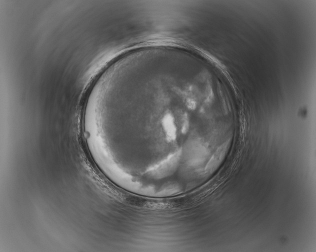 X0000116031415200912111405