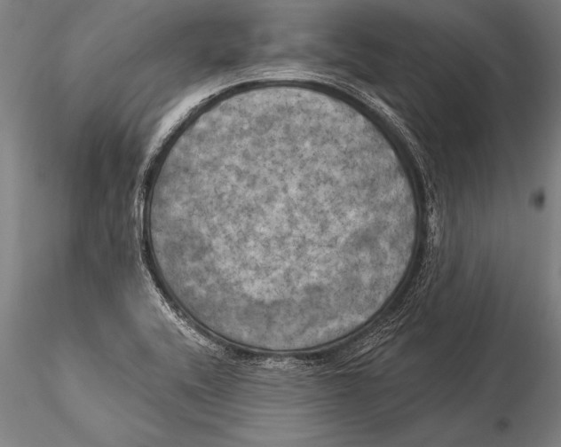 X0000116031416200912111405