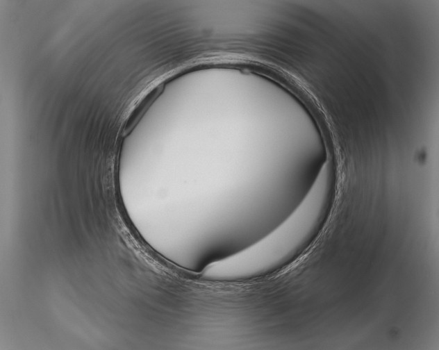 X0000116031417200912111405