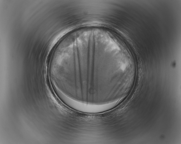 X0000116031418200912111405