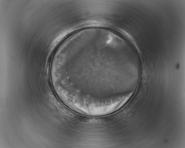 X0000116031419200912111405