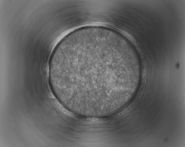 X0000116031420200912111405