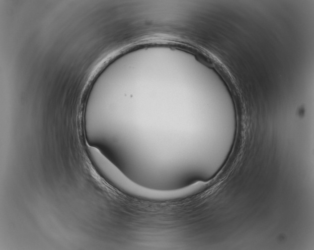 X0000116031421200912111405