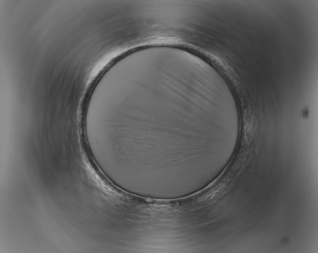 X0000116031422200912111405