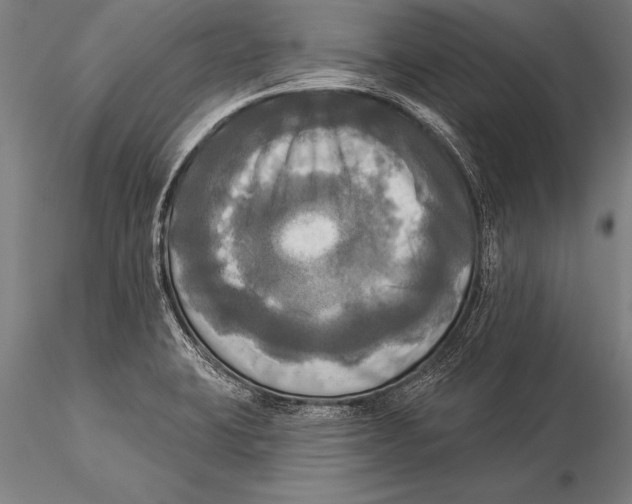 X0000116031423200912111405