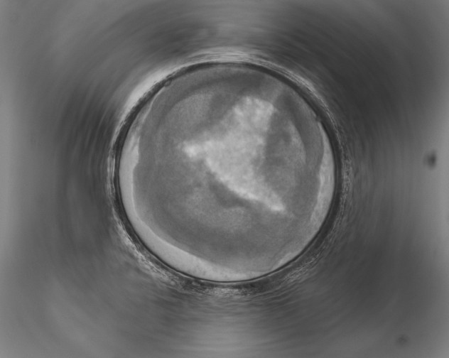 X0000116031424200912111405