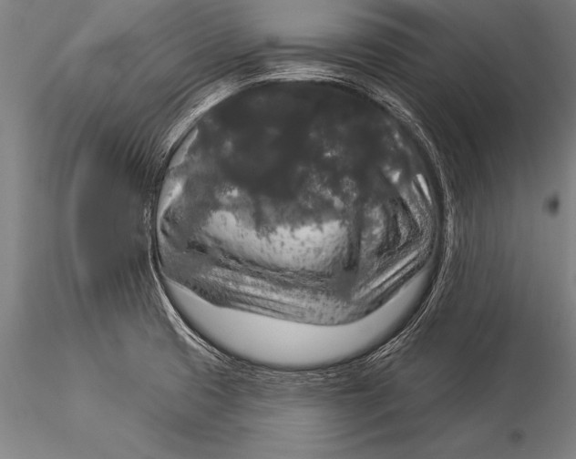 X0000116031425200912111405