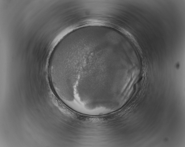 X0000116031427200912111405