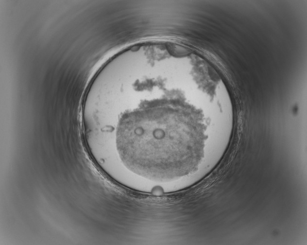 X0000116031428200912111405