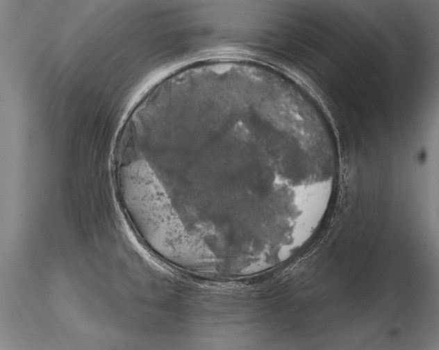 X0000116031429200912111405