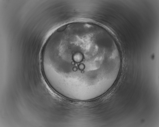 X0000116031430200912111405