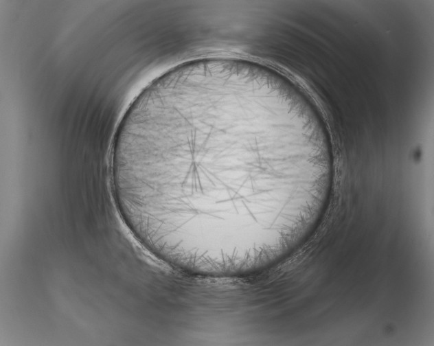 X0000116031432200912111405