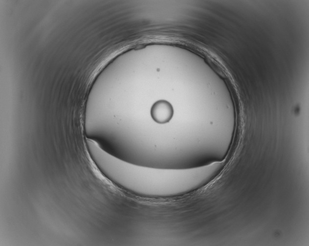 X0000116031433200912111405