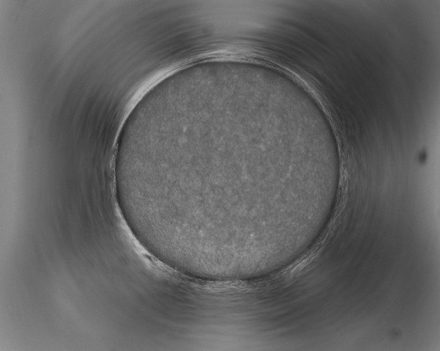 X0000116031434200912111405