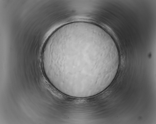 X0000116031435200912111405