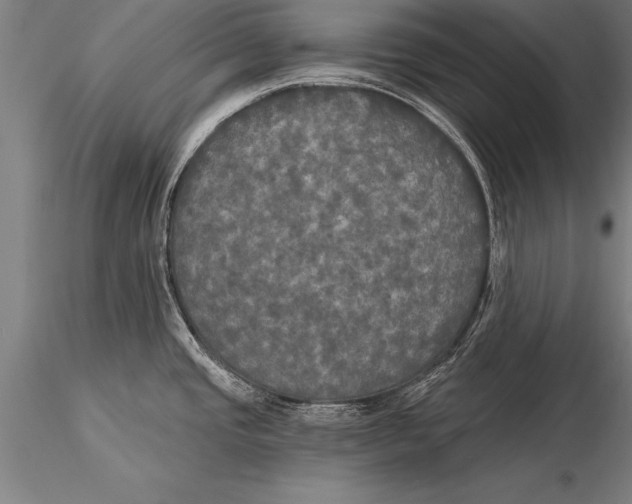 X0000116031437200912111405