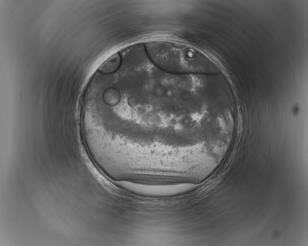 X0000116031438200912111405