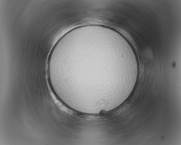 X0000116031439200912111405