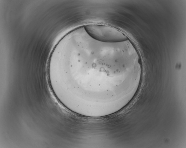 X0000116031440200912111405