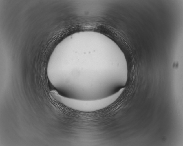 X0000116031441200912111405