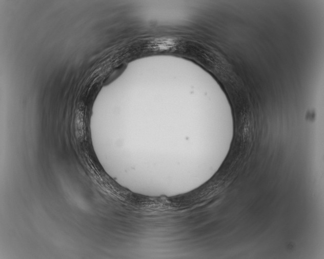 X0000116031442200912111405