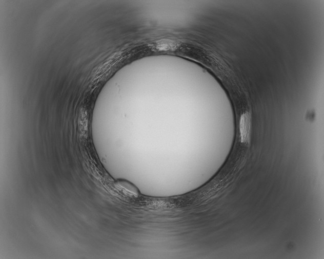 X0000116031443200912111405