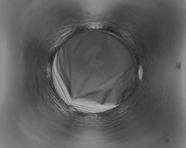 X0000116031444200912111405