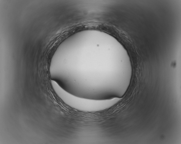 X0000116031445200912111405