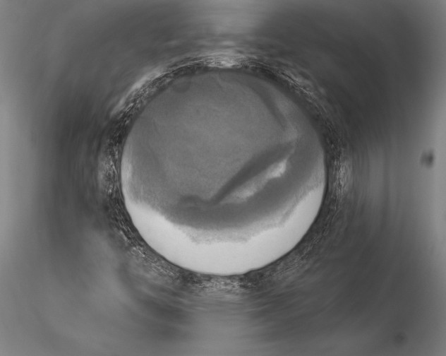 X0000116031446200912111405