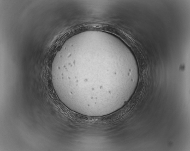 X0000116031447200912111405