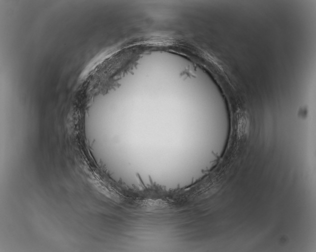 X0000116031448200912111405