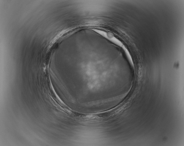 X0000116031449200912111404