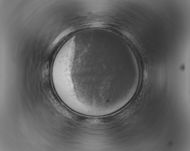 X0000116031450200912111404