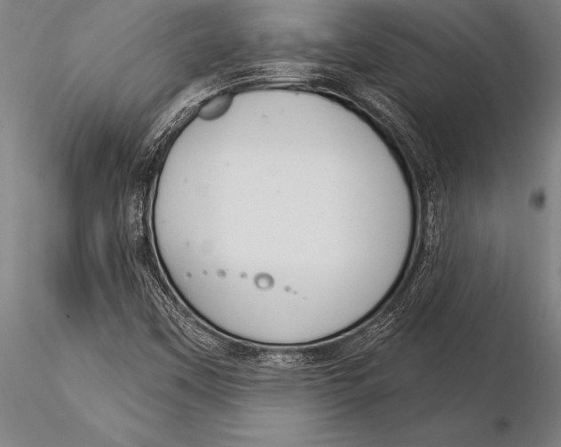 X0000116031451200912111404