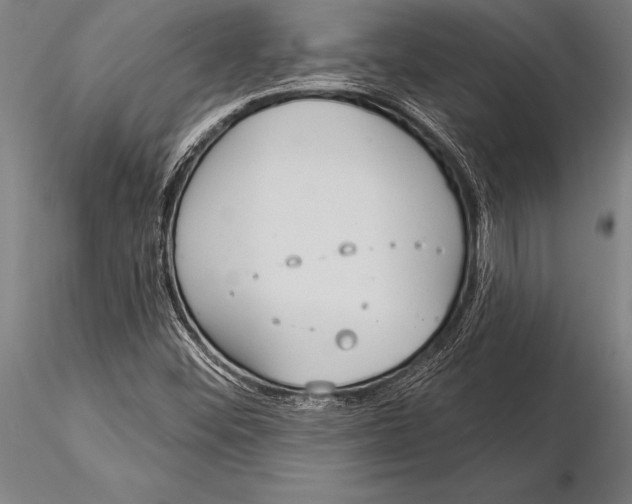 X0000116031452200912111404