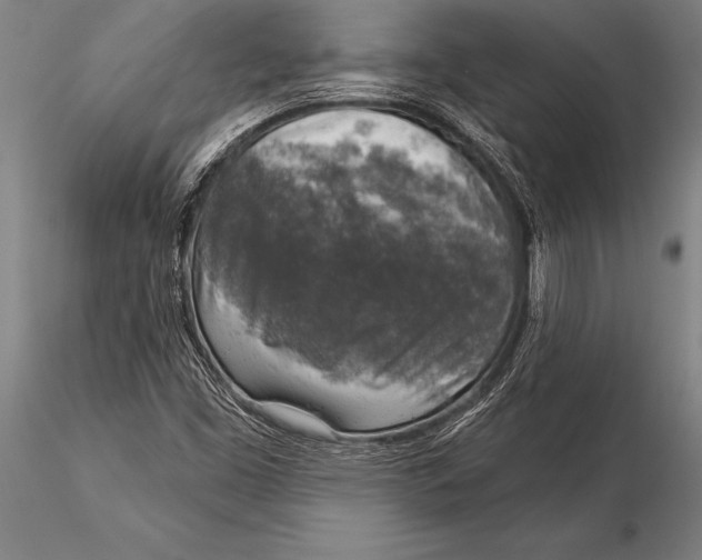 X0000116031453200912111404