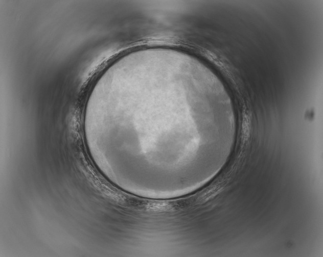 X0000116031454200912111404