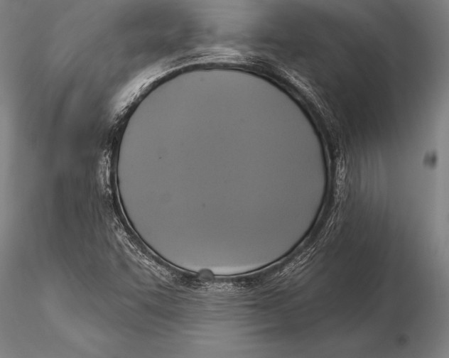 X0000116031455200912111404