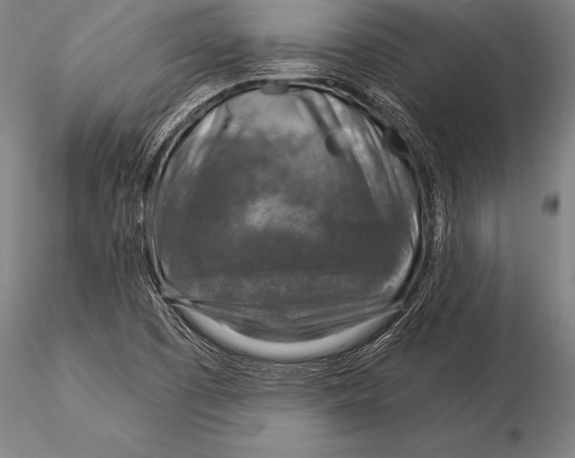 X0000116031457200912111404